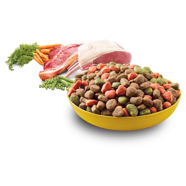 PEDIGREE® High Protein Adult Dry Dog Food Beef and Lamb Flavour Dog Kibble 2.5kg